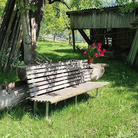 Neufangbauer, Familie Sabine Und Peter Hauser Дорфгаштайн